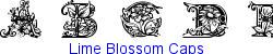 Lime Blossom Caps  104K (2003-03-02)
