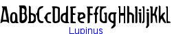 Lupinus   10K (2004-09-07)
