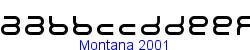Montana 2001    4K (2002-12-27)