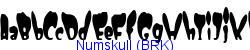 Numskull (BRK)   18K (2002-12-27)