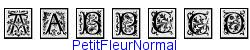 PetitFleurNormal  507K (2004-12-20)