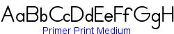 Primer Print Medium   26K (2002-12-27)