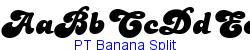 PT Banana Split   40K (2002-12-27)