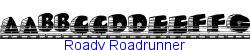 Roady Roadrunner   20K (2003-01-22)