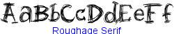Roughage Serif  103K (2002-12-27)