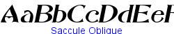 Saccule Oblique   41K (2002-12-27)