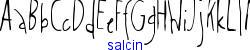 salcin   11K (2002-12-27)