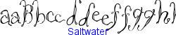Saltwater   42K (2003-01-22)
