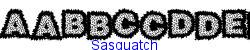 Sasquatch   138K (2003-03-02)