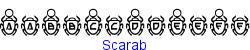 Scarab   13K (2002-12-27)