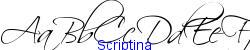 Scriptina   72K (2005-03-07)
