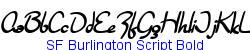 SF Burlington Script Bold - Bold weight  186K (2005-06-21)