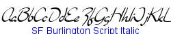 SF Burlington Script Italic  186K (2005-07-05)