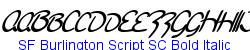 SF Burlington Script SC Bold Italic - Bold weight  186K (2005-09-14)