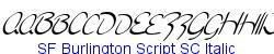 SF Burlington Script SC Italic  186K (2005-10-20)