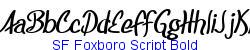 SF Foxboro Script Bold - Bold weight  198K (2005-05-13)