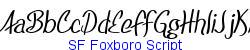 SF Foxboro Script  198K (2005-05-21)