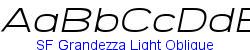 SF Grandezza Light Oblique - Light weight   95K (2004-07-16)
