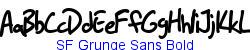 SF Grunge Sans Bold - Bold weight  263K (2005-05-09)