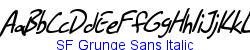 SF Grunge Sans Italic  263K (2005-09-12)