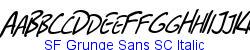 SF Grunge Sans SC Italic  263K (2005-03-28)
