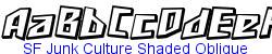 SF Junk Culture Shaded Oblique   135K (2003-03-02)