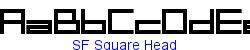 SF Square Head   60K (2003-08-30)