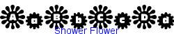 Shower Flower    8K (2002-12-27)