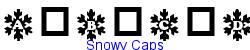 Snowy Caps   10K (2003-03-02)