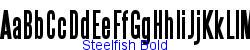 Steelfish Bold - Bold weight  100K (2004-12-06)