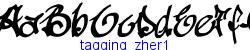 tagging_zher1   27K (2005-02-10)