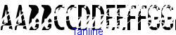 Tanline   10K (2002-12-27)