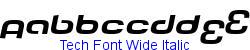 Tech Font Wide Italic   73K (2003-11-04)