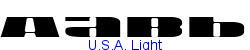 U.S.A. Light - Light weight   91K (2003-11-04)