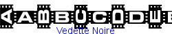 Vedette Noire   38K (2002-12-27)