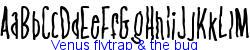 Venus flytrap & the bug   25K (2002-12-27)