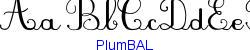 PlumBAL  501K (2005-03-07)