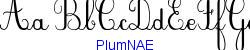 PlumNAE  501K (2005-07-01)
