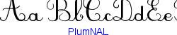 PlumNAL  501K (2005-03-22)