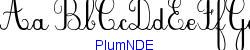 PlumNDE  501K (2005-05-23)