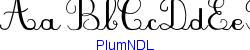 PlumNDL  501K (2005-05-31)