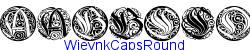 WieynkCapsRound  165K (2004-07-08)