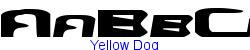 Yellow Dog    8K (2002-12-27)