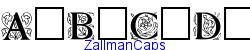 ZallmanCaps   38K (2003-03-02)
